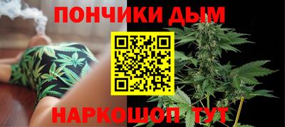 шишки Новозыбков