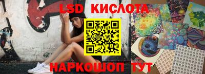 тгк Новодвинск