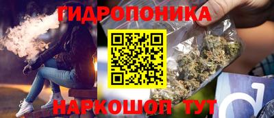 шишки Новокубанск