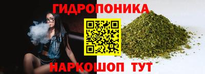 шишки Новокубанск