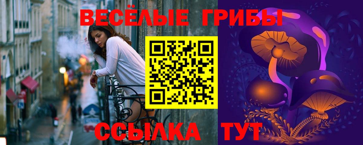 Галлюциногенные грибы Cubensis Сухой Лог